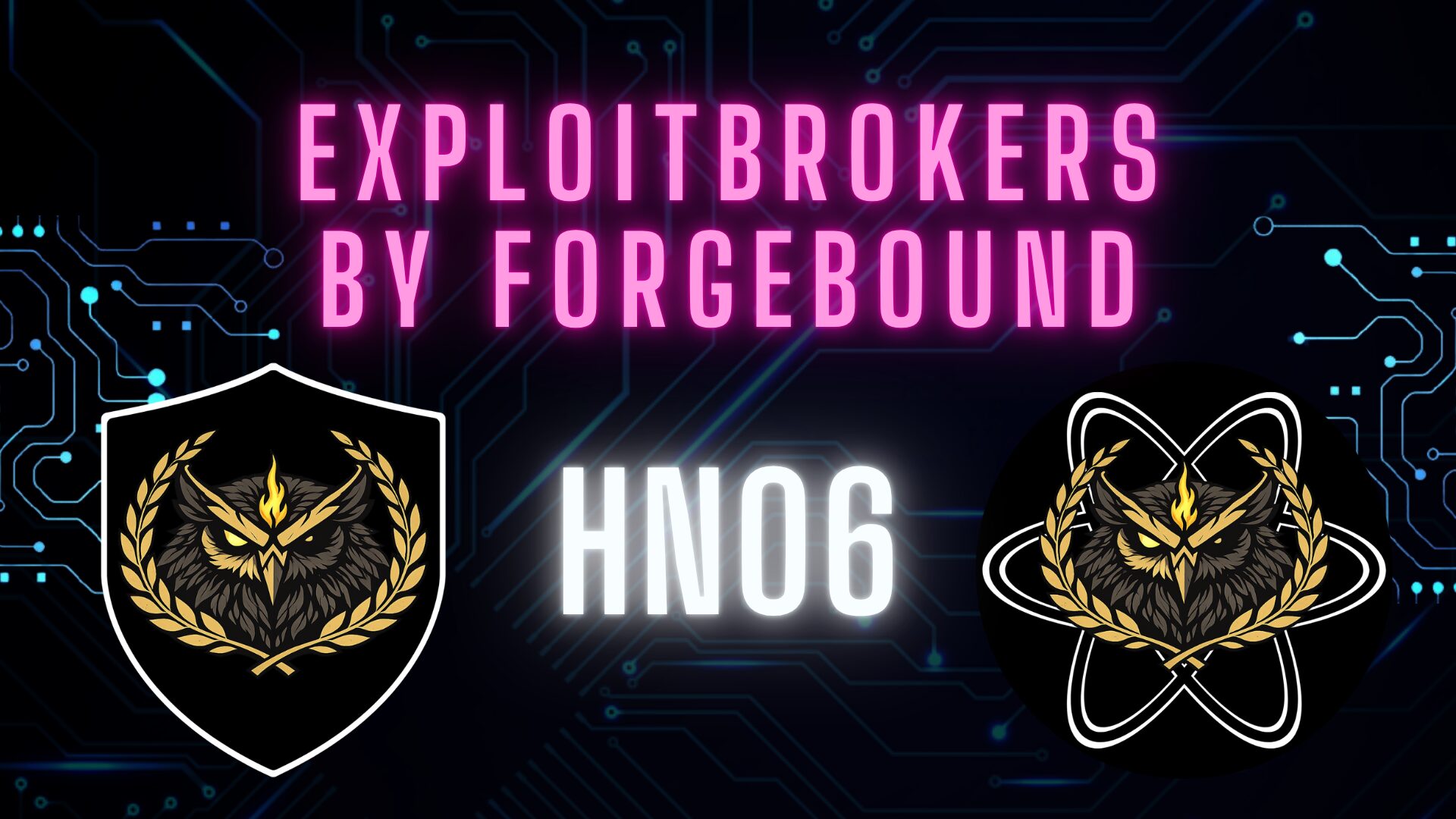 Croatia Hacked, Golang Malware Undetectable, Cloudflare Crashed, & DDoS Grinch Jailed | HN 06