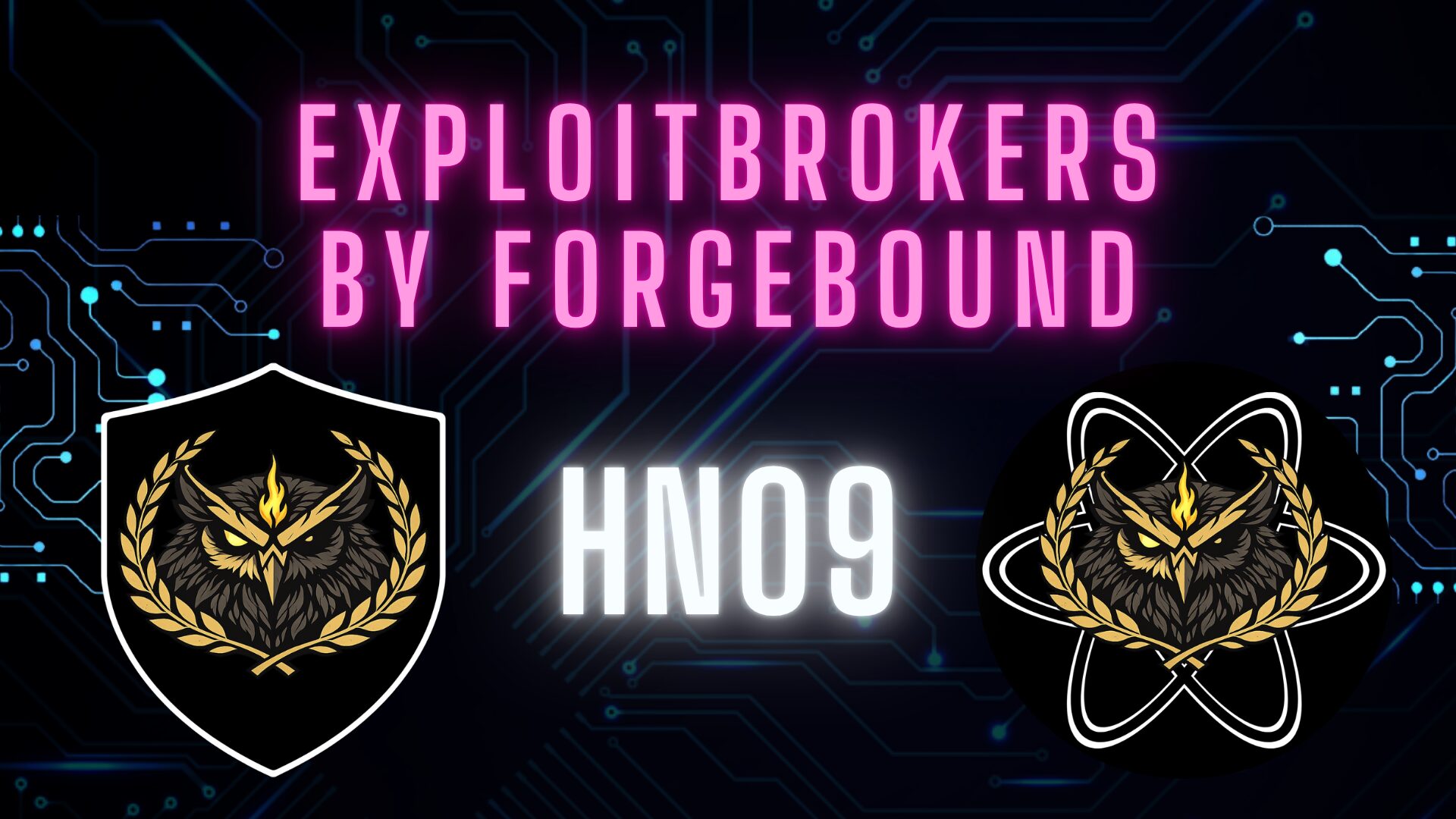 Freakout Botnet Attacks DVRs, Ricochet Anti-Cheat Concerns, MyKings Botnet, & Twitch Hacked | HN 09