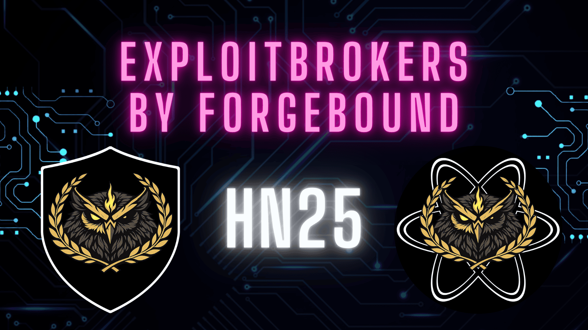 Hacking Havoc: How Fulton County Became a Real-Life Cyberwar Zone | HN 25