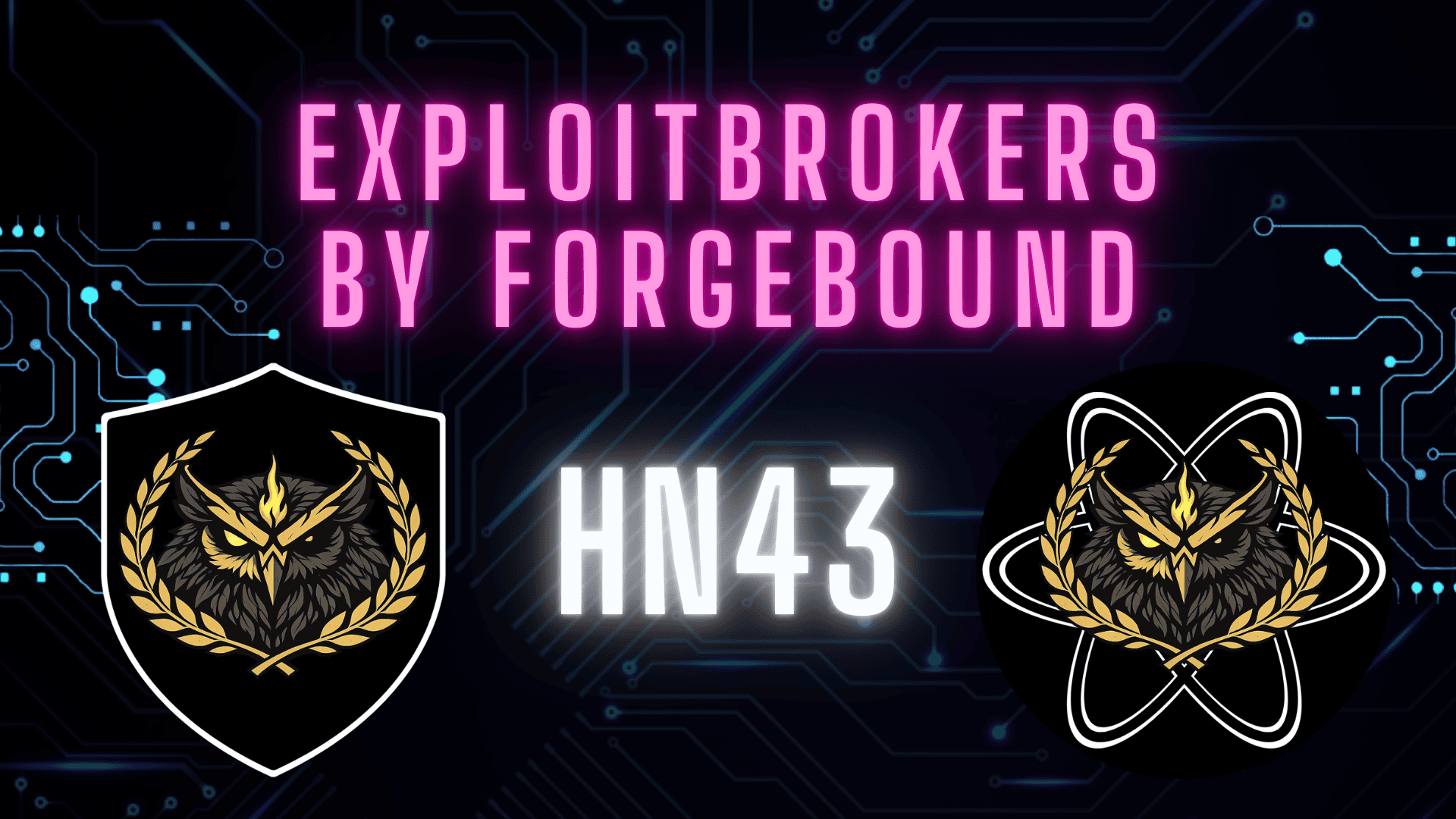 Operation Magnus: Redline and MetaStealer Infostealer Networks Dismantled | HN 43