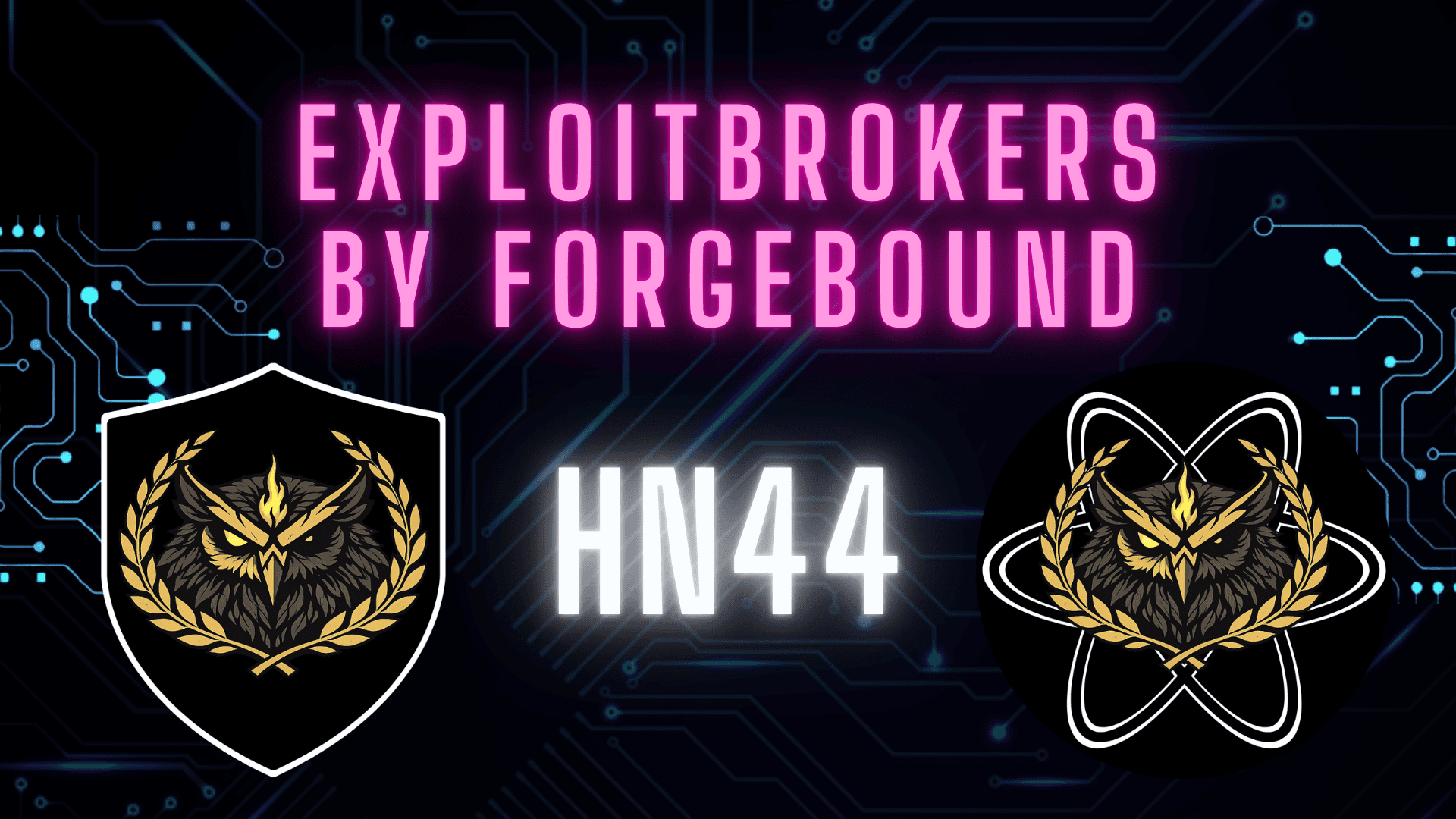 SteelFox Crack Tool Malware + eBay Malvertising Attack | HN 44